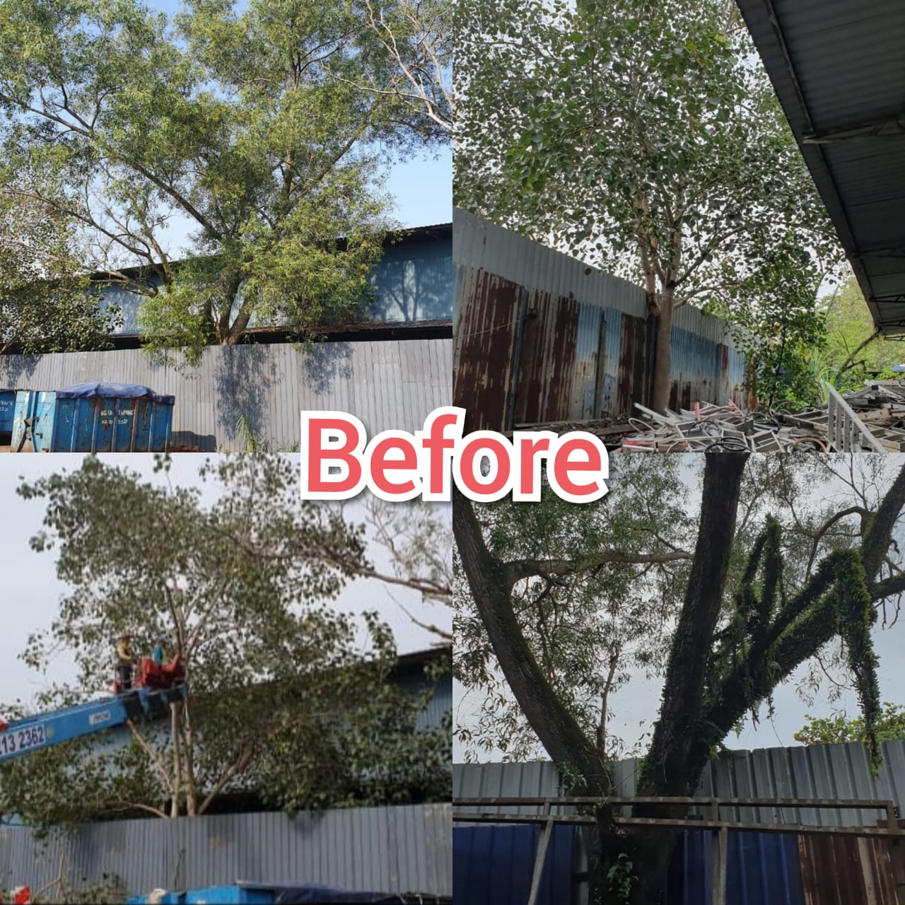 WhatsApp Image 2022-12-14 at 3.40.06 PM